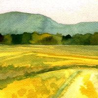 meadows meadows