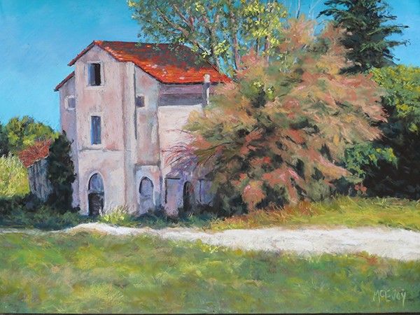 Fig Tree in Arles