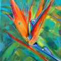 bird of paradise copy