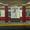 buckley kerry w red line  oil on canvas  x48  