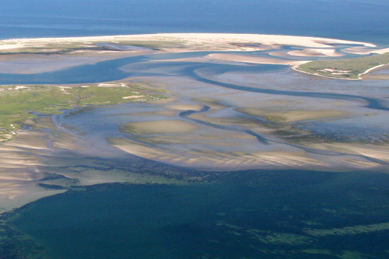 1 capeseashore