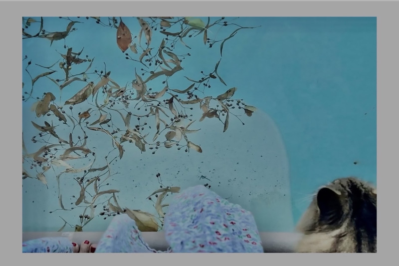 anne henning pool view